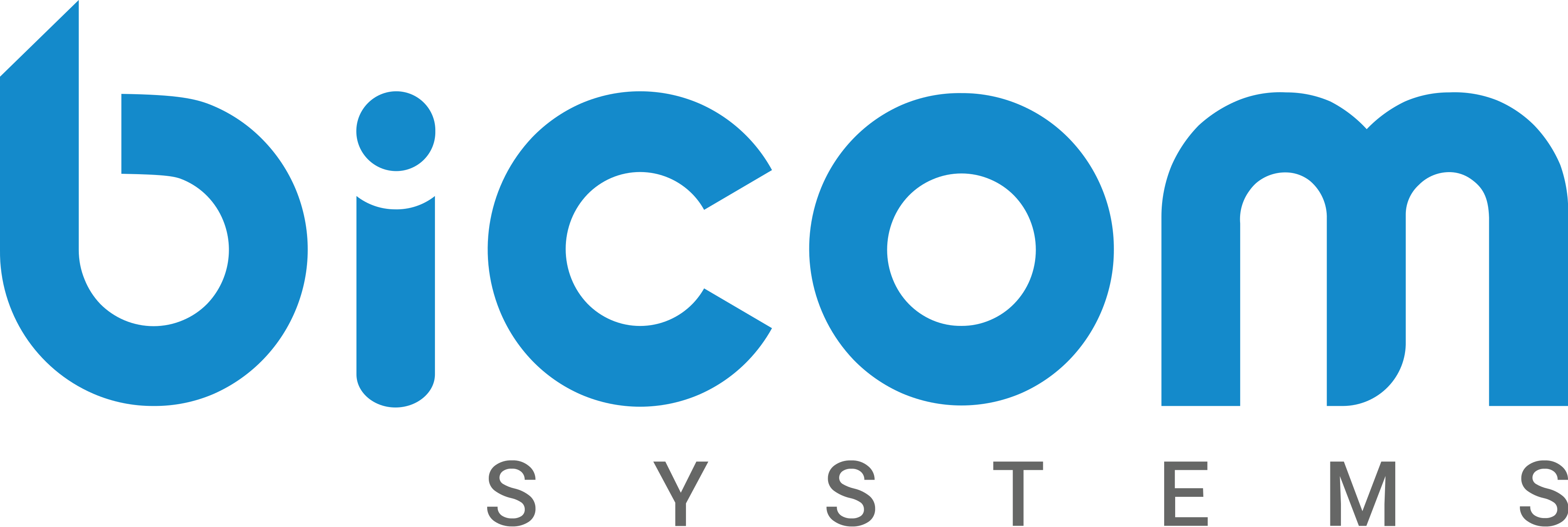 Bicom Systems